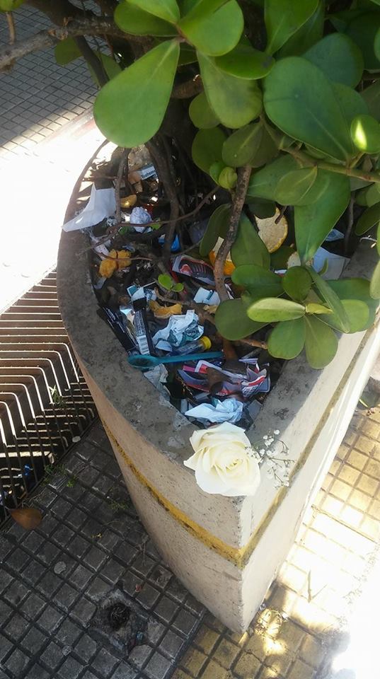 Roger Mendes cobra manutenção do mobiliário da Rua Nove de Julho