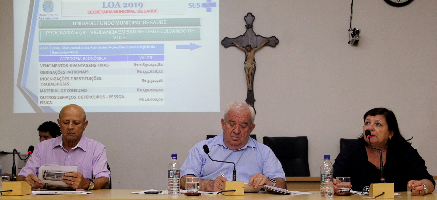 Audiência da LOA destaca investimentos em Saúde, Segurança e Transportes