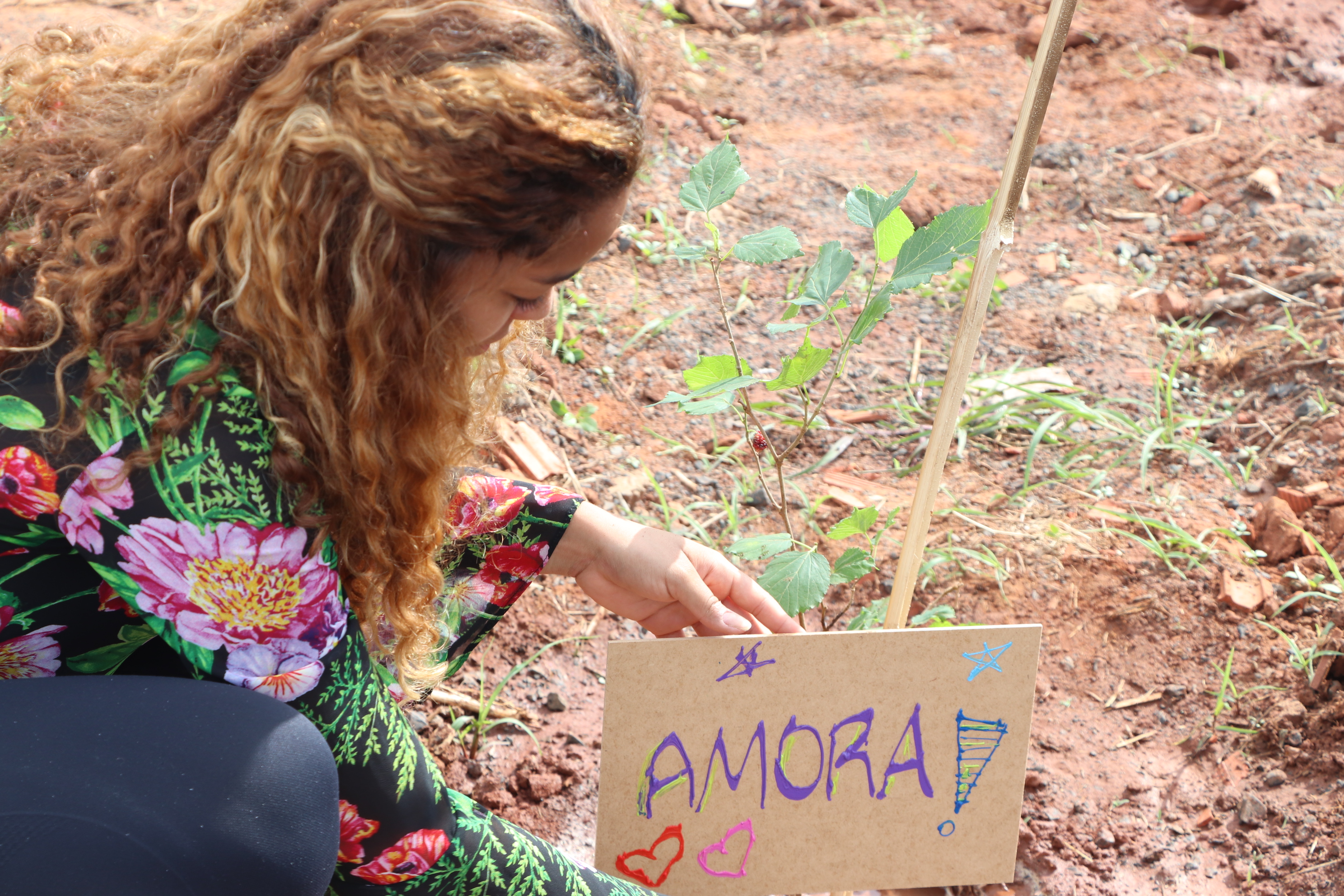 Projeto Nosso Pomar é lançado no Valle Verde