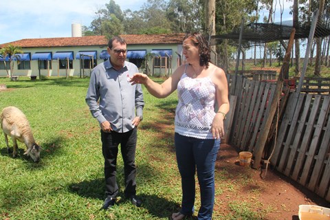 CEC Aléscio se destaca por iniciativas voltadas para o meio ambiente