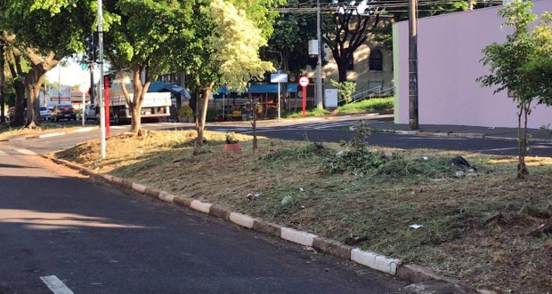Yashuda agradece limpeza do canteiro central da Rua Castro Alves