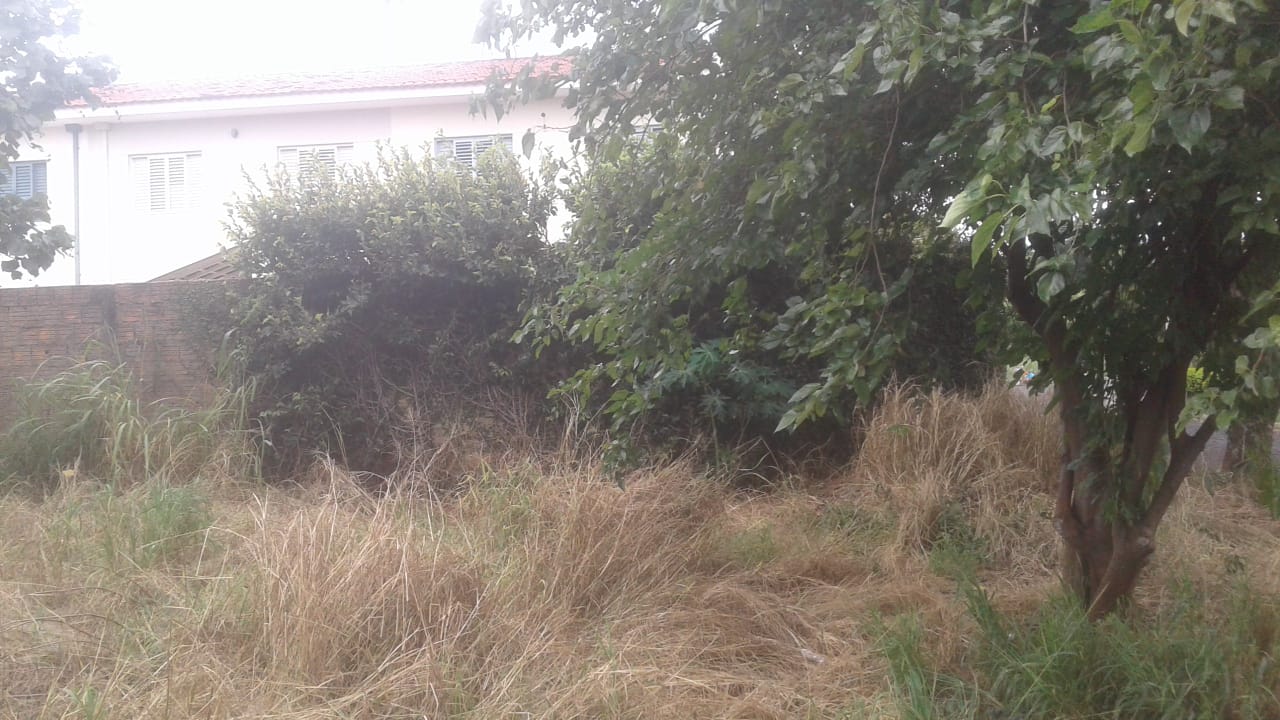Terrenos do município trazem insegurança a moradores do Jardim Brasília