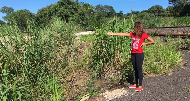 Thainara Faria volta a cobrar melhorias em zeladoria no Yolanda Ópice e Santa Julia