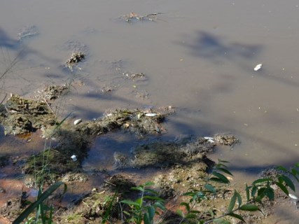 Resíduos oriundos de fábrica de bebidas causam mau cheiro no Jardim Arangá 